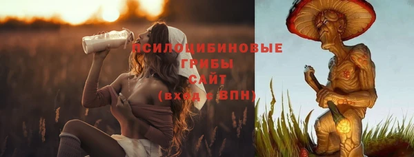 СК Нягань