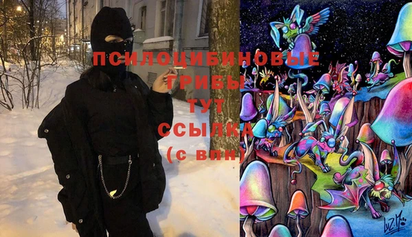 spice Новокубанск