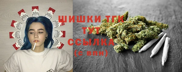mdpv Новозыбков