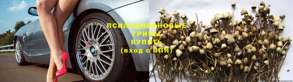 spice Новокубанск