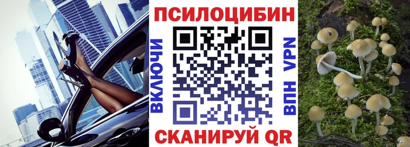 Псилоцибиновые грибы мицелий  Купить где  Зеленодольск 